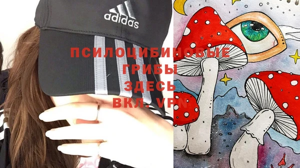 a pvp Армянск