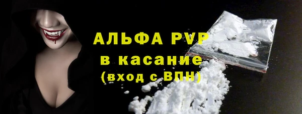 прущие грибы Козловка