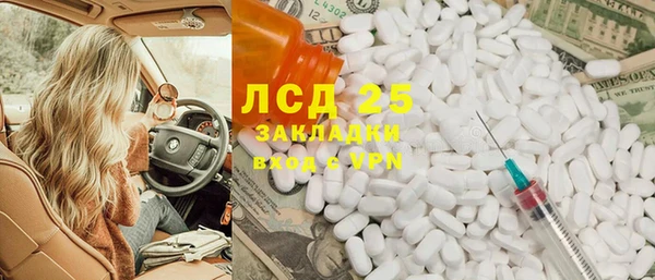 прущие грибы Козловка