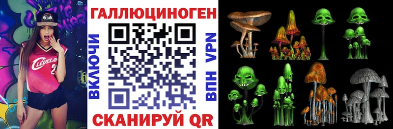 Купить где Тарко-Сале Галлюциногенные грибы мицелий